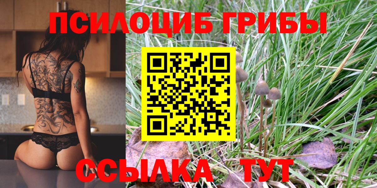 Галлюциногенные грибы Psilocybe  Галлюциногенные грибы Magic Shrooms  Вход с VPN  Черногорск 